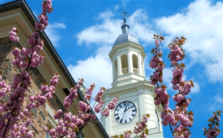 Holmes Clock Tower with Flowers