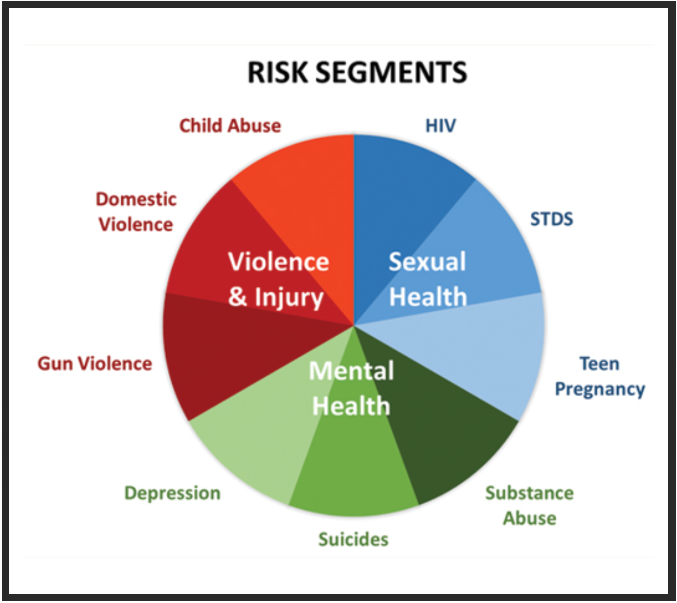 Risk Segments chart