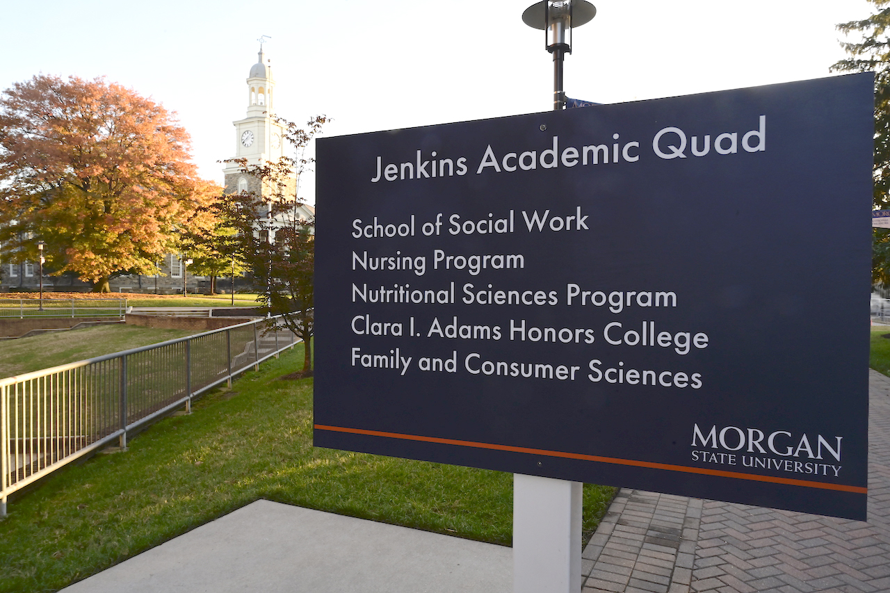 |Morgan State School of Social Work students performing field work consultations